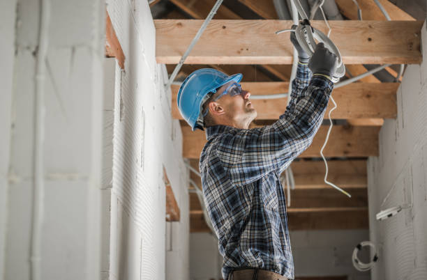 Best Generator Installation Services  in Ly Lake, IL
