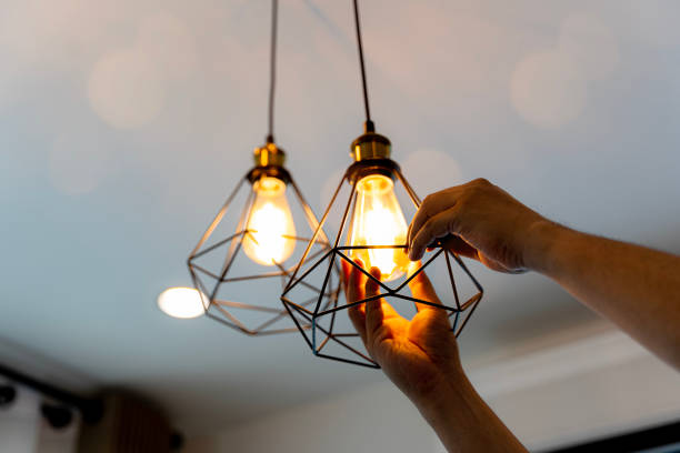 Best Electrical System Inspection  in Ly Lake, IL
