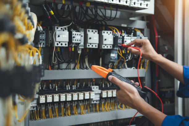 Best Electric Panel Repair  in Ly Lake, IL