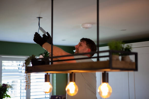 Best Emergency Electrical Repair  in Ly Lake, IL