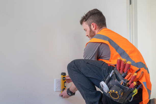 Best Affordable Electrician  in Ly Lake, IL
