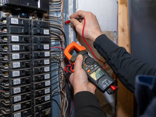 Best Home Electrical Repair  in Ly Lake, IL